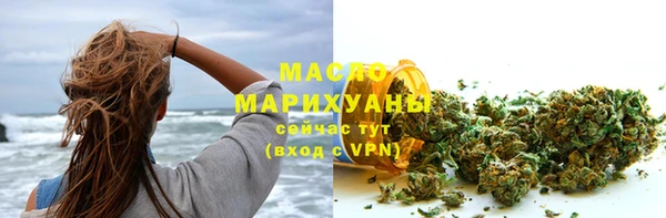 индика Пересвет