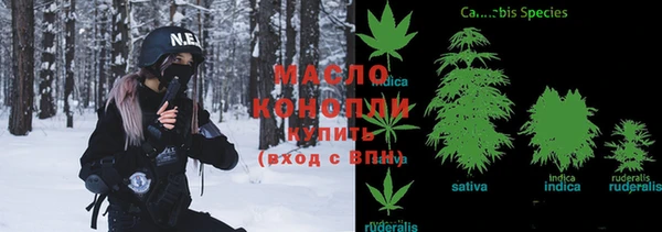 индика Пересвет
