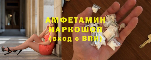 индика Пересвет