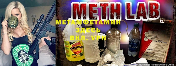 индика Пересвет