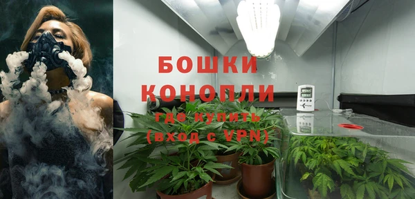 каннабис Галич