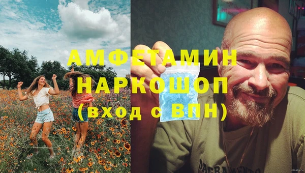 индика Пересвет