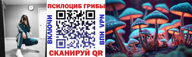 цены   Сергач  Галлюциногенные грибы Cubensis 