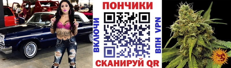 Бошки Шишки индика  купить наркоту  Сергач 